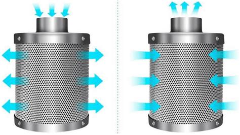 Do You Need A Carbon Filter In Grow Tent For Vegetables?