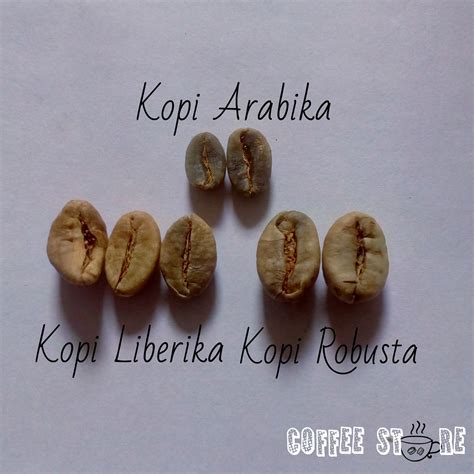 Biji Kopi Arabica Robusta: Perbedaan Biji kopi arabika, Liberika, Ekselsa dan robusta secara fisik