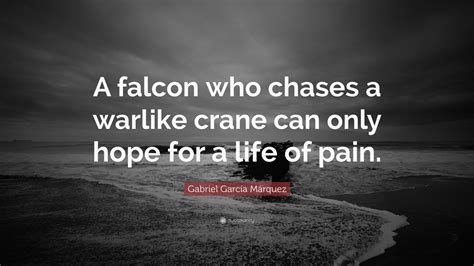 Gabriel Garcí­a Márquez Quote: “A falcon who chases a warlike crane can only hope for a life of ...