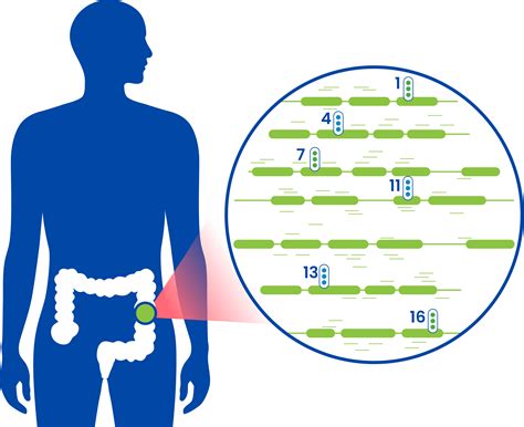 Signatera - LifeLabs Genetics