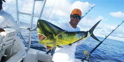 Fishing Season in Loreto Mexico | Villa del Palmar Loreto