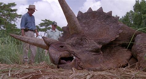 Triceratops - Park Pedia - Jurassic Park, Dinosaurs, Stephen Spielberg