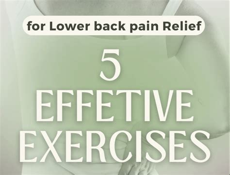 5 Effective Lower Back Pain Relief Exercises - York Rehab Clinic