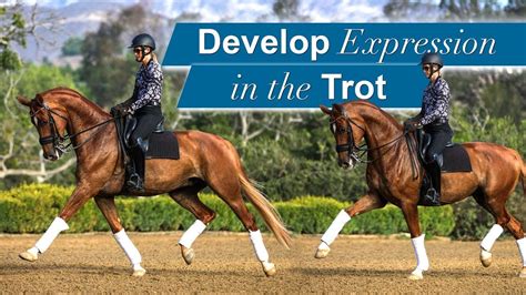 How to Train an Expressive Trot - YouTube