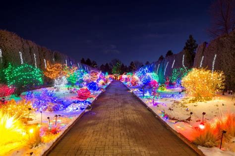 Not In Our Graves Yet: Christmas Lights at the Denver Botanic Gardens