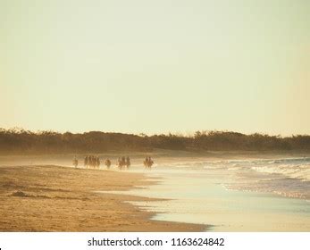 4,431 Beach horse riding sunset Images, Stock Photos & Vectors | Shutterstock