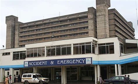 Kenya: Doctors at KNH Successfully Re-Attach Chopped Off Boy's Manhood - allAfrica.com