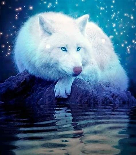 Wolf Love, Arktischer Wolf, Wolf Eyes, Artwork Lobo, Wolf Artwork ...