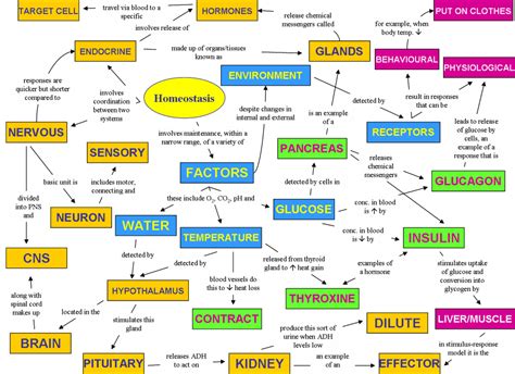 WHAT IS HOMEOSTASIS |The Garden of Eaden