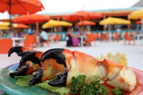 10 Date-Worthy Best Tampa Bay Seafood Restaurants