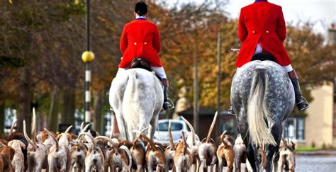 The history of fox hunting in Britain