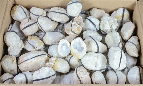 Wholesale Box: 1.5 to 2" Sparkling Quartz Geodes - 100 Geodes For Sale (#77620) - FossilEra.com