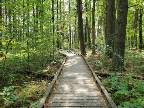 Great Bay National Wildlife Refuge - Trail Finder