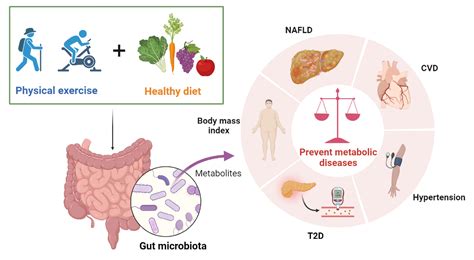 Nutrients | Free Full-Text | Combined Physical Exercise and Diet ...