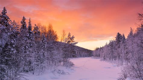 Winter in Finland - Talvi Suomessa (Lapland) - Winter Wallpaper (40318197) - Fanpop