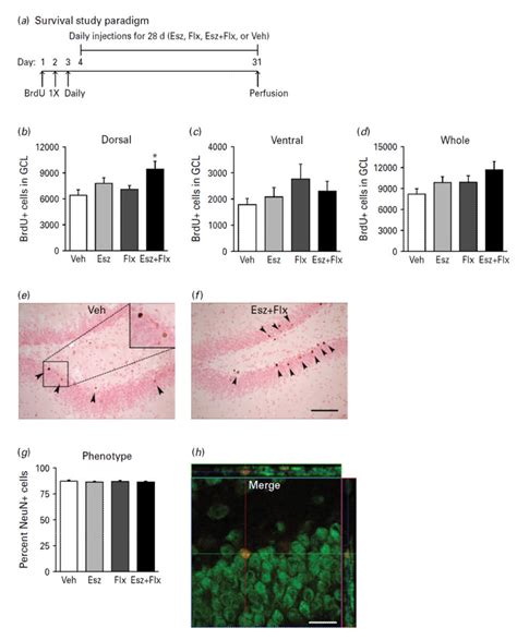 Effects of chronic eszopiclone, fluoxetine, or combination of ...