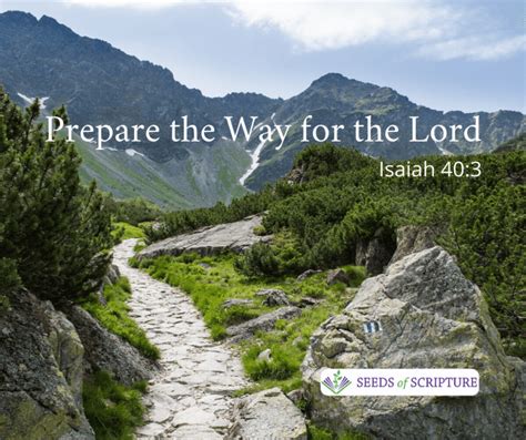 Prepare the Way! The King is Coming! - Seeds of Scripture