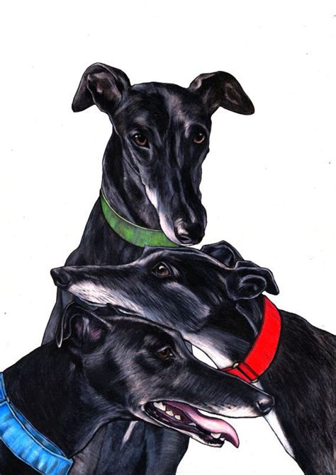 Greyhound drawing limited edition greyhound art print from | Etsy ...