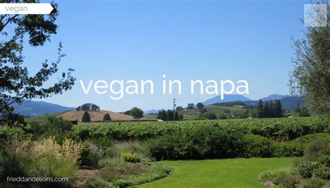 Vegan in Napa — Fried Dandelions — Plant Based Recipes