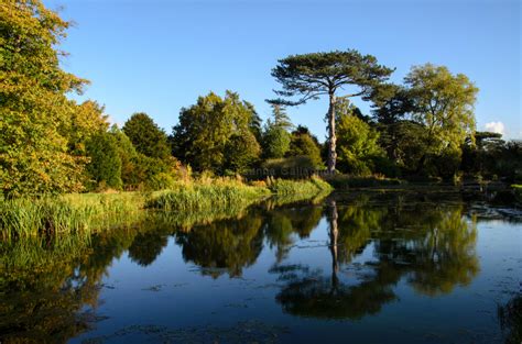 Scampston Hall & Gardens | Callaghan Photography