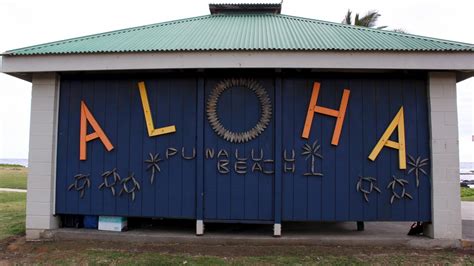 Punalu’u Black Sand Beach – Tales of a vanlife couple