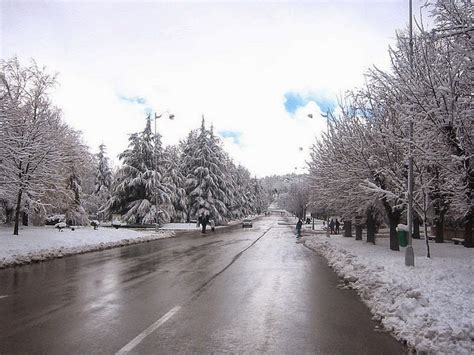 Ifrane, The Switzerland of Morocco | Amusing Planet