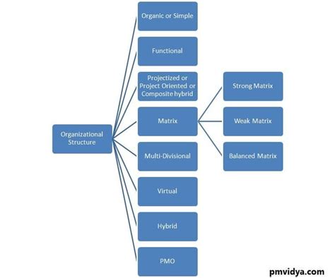 Organizational Structure Types - Functional, Projectized, Matrix - PM Vidya