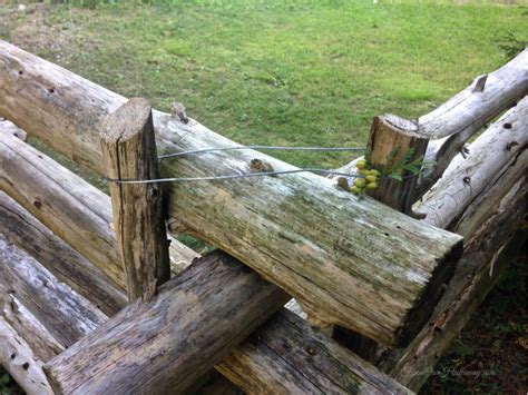 rail-fence-corner-top-fromourhideaway-com Log Fence, Rustic Fence, Farm ...