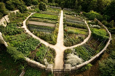 Bird's eye view of our amazing Kitchen Garden | Permaculture gardening, Vegetable garden design ...