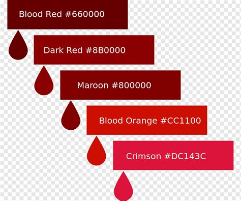 Color chart Blood Color scheme Red, blood, text, logo, color png | PNGWing