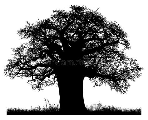 Silhouette Of A Baobab Tree Stock Illustration - Illustration of object ...