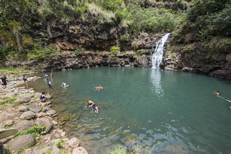 Waimea Valley Botanical Garden + Cultural Center | Outdoor Project