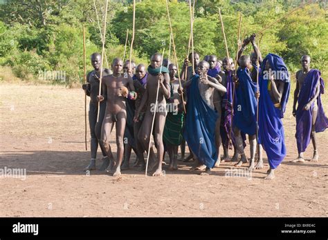 Donga stick fight ceremony, Surma tribe, Tulgit, Omo river valley Stock Photo, Royalty Free ...