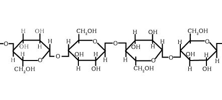 Structure Of Polysaccharides