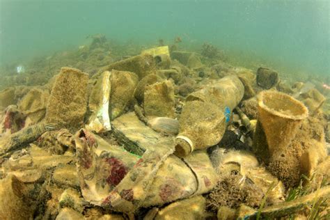 World’s largest pile of trash found floating in the Arctic Ocean • Earth.com