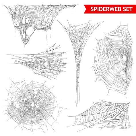 Download Realistic Spider Web Cobweb Set for free | Spider web drawing ...