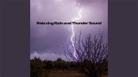 Best Rain and Thunder Sound to Help You Relax - YouTube