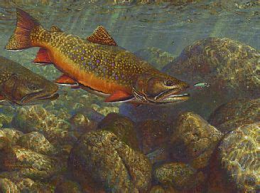 Brook trout fly fishing scene - Painting Art by Mark Susinno | Trout ...