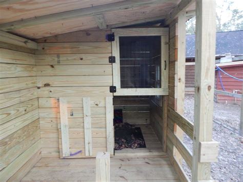 Mini Pig House Construction: How Did They Build That? - Mini Pig Info