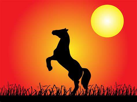 Horses In The Sunset Wallpaper