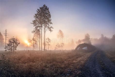 Foggy Morning Sunrise by the Lake Stock Image - Image of lake ...