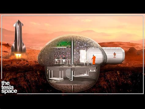 SpaceX and NASA's Mars Colony Plans: A Detailed Guide | SchoolTube