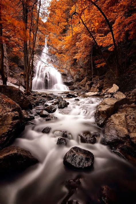 d'une rivière ou un ruisseau ma toujours faites rêver. | Landscape ...