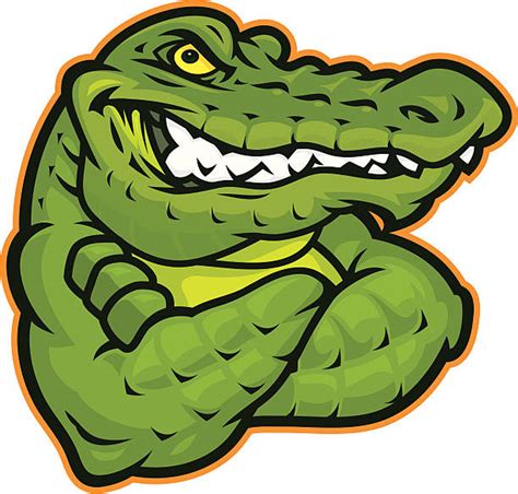 Alligator Clip Art, Vector Images & Illustrations - iStock