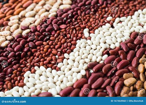 Different Varieties of Bean Seeds. Beans Background Stock Photo - Image ...