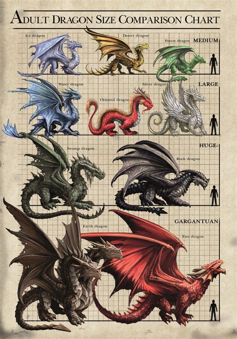 Dragon Size Chart Card (13 x 18cm) by Anne Stokes from "Age of Dragons Cards" (AN78) | Dragons ...