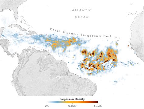 Discussions 2023 - Caribbean Hurricane Network - stormCARIB.com - Local ...