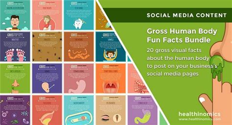 Gross Human Body Fun Facts Bundle - Healthinomics