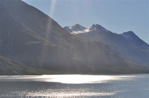 Cruise Alaska: Top Tips For Maximizing Your Day In Glacier Bay · Prof ...