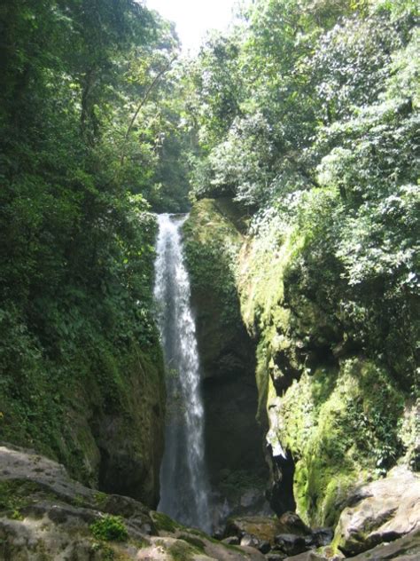 Pico Bonito Waterfalls - La Villa de Soledad B&B